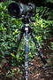 Bespoke Tripod Leg Covers (set of 3) upto 38cm