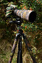 Bespoke Tripod Leg Covers (set of 3) 39 to 50cm