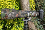 Canon 600mm f4 Mk2 Neoprene Lens Protection Cover