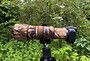 Canon RF 600 mm f11 Neoprene lens cover