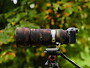 Olympus OM 50 200 f2.8 IS Pro Neoprene lens cover